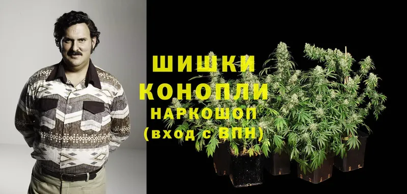 закладки  Куртамыш  МАРИХУАНА Ganja 